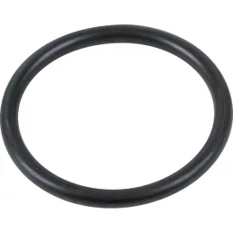 O-gyűrű Arag 3.53 x 36.1 mm, T5