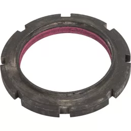 Anya Landini - M75 x 1,5