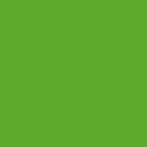 Festék spray Fendt Nature Green - 400 ml (6495)