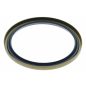 Szimering Carraro 120717