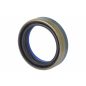 Szimering Carraro 641735