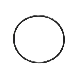 O-gyűrű dugattyúperselyhez Case IH 718203R4