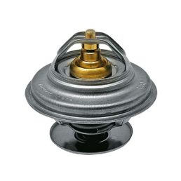 Termosztát Fendt F119202050030, F119200050040