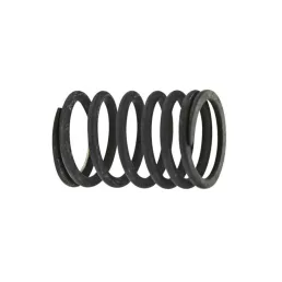 Szeleprugó Hürlimann 2.4019.287.0