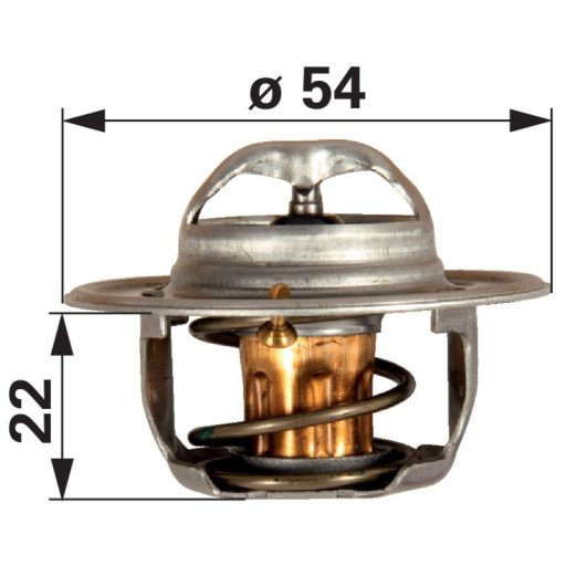 Termosztát Landini 2485666, 2485659