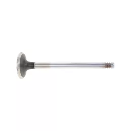 Kipufogószelep Fendt F119200210540