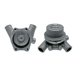 Vízszivattyú Renault 0123100200