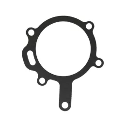 Vízszivattyú tömítés Case IH 3118290R1