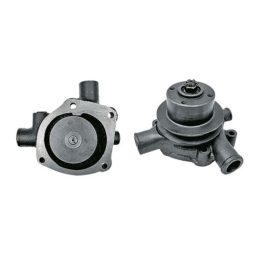 Vízszivattyú Landini 41312063