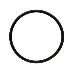 Termosztát O-gyűrű Hürlimann 1181220, 01181220