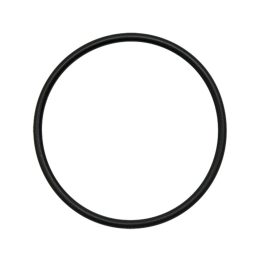 Termosztát O-gyűrű Landini 2415A090, 4222848M1