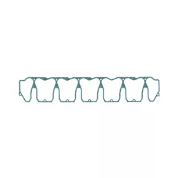 Szelepfedél tömítés Hürlimann 04205894