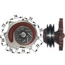 Vízszivattyú Ford 84366457