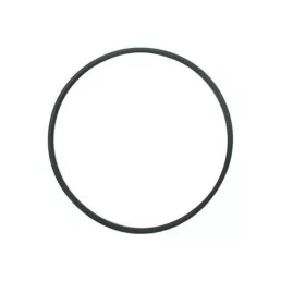 O-gyűrű dugattyúperselyhez Case IH 130100041001