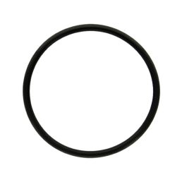 Termosztát O-gyűrű Lamborghini 1181220, 01181220