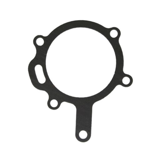 Vízszivattyú-tömítés Landini 4222457M1