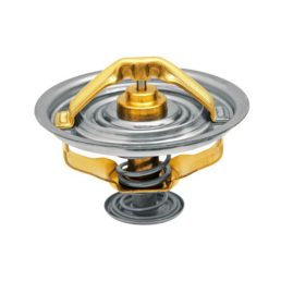 Termosztát Fendt F199204050010, E2858853903F1