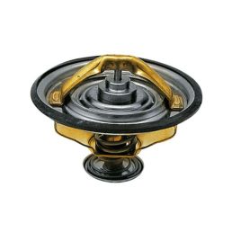 Termosztát Fendt G199204010020