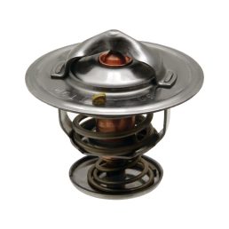 Termosztát Landini 6676176A1, 2485613