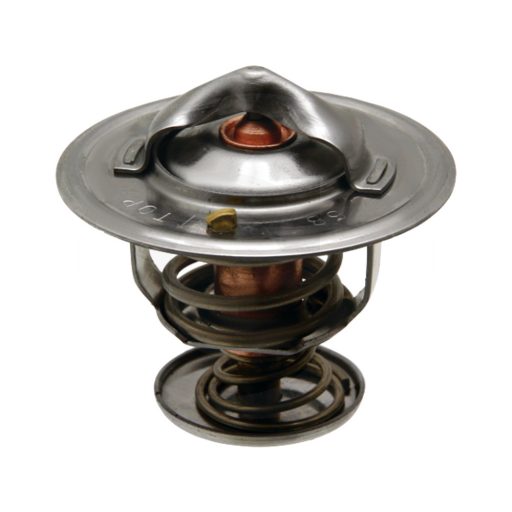 Termosztát Landini 6676176A1, 2485613