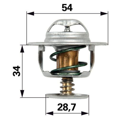Termosztát Landini 6676176A1, 2485613