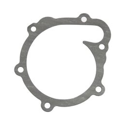 Vízszivattyú-tömítés Same 4202975, 04202975