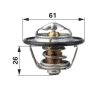 Termosztát Steyr 74717126
