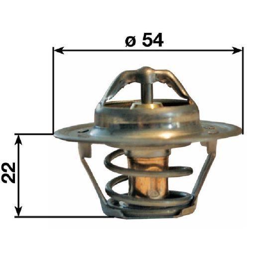 Termosztát New Holland 162000060701