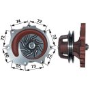 Vízszivattyú Ford 87800109