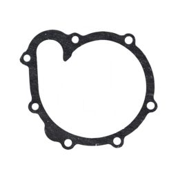 Vízszivattyú-tömítés Same 04198968