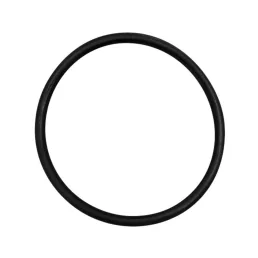 Termosztát O-gyűrű Case IH 510121, 2385227