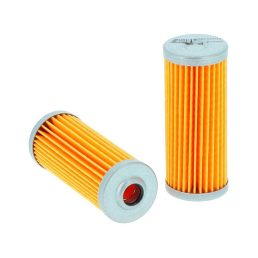 Üzemanyagszűrő Fleetguard FF5259 - Ammann