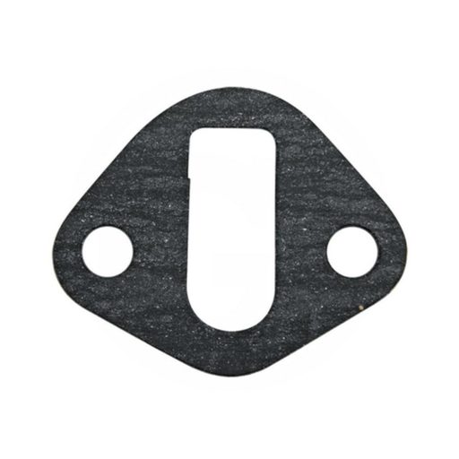 Üzemanyag szivattyú-tömítés Landini 4224178M1, 737079M1, 36862165