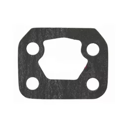 Üzemanyag szivattyú tömítés Lamborghini 36851113