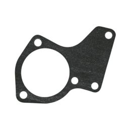 Termosztát-tömítés New Holland 99450535