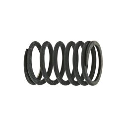 Szeleprugó Lamborghini 2.4019.287.0