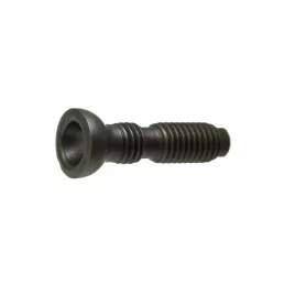 Szelepállító csavar Fendt F150204210100