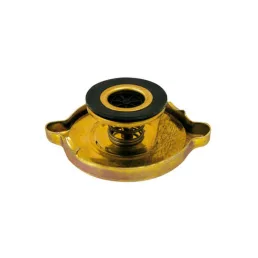 Hűtősapka Valtra-Valmet T5377, V31679810, V31679800