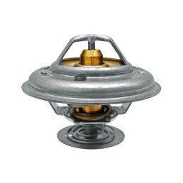 Termosztát Landini 4224639M1, 3651181M91, 2485C036