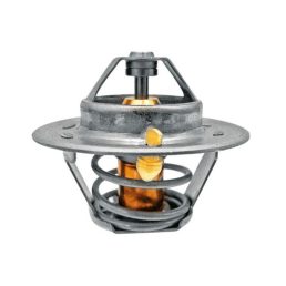 Termosztát Renault 6005022968 Termosztát Renault 6005022968