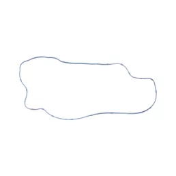 Szelepfedél tömítés Case IH 87754545