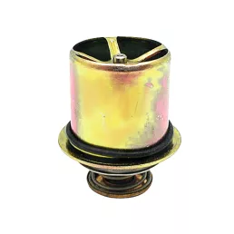 Termosztát Case IH 84427136, 87698668, J940632