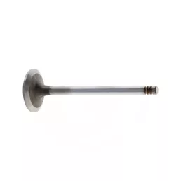 Szívószelep Fendt F119200210530