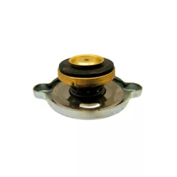 Hűtősapka Case IH A170241, 83957211