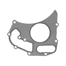 Vízszivattyú-tömítés Landini 6679003A1, 3682A011