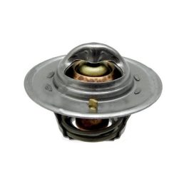 Termosztát Landini 1446222M91, 1446128M91