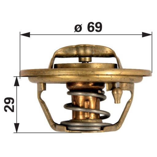 Termosztát Landini 1446222M91, 1446128M91