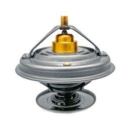 Termosztát Fendt F824200050060