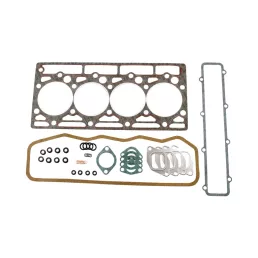 Tömítéskészlet Case IH 1967014C1, 3136799R99