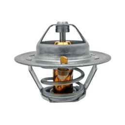 Termosztát Renault 6005012123 Termosztát Renault 6005012123